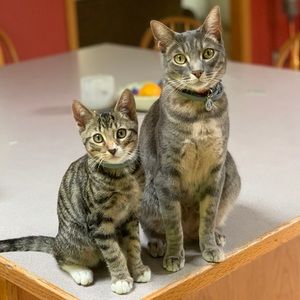 Meet your Posher, Rylie